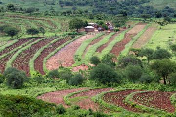 Terraced areas in the Eastern Province of Kenya. (c) Christoph Püschner/Bread for the World