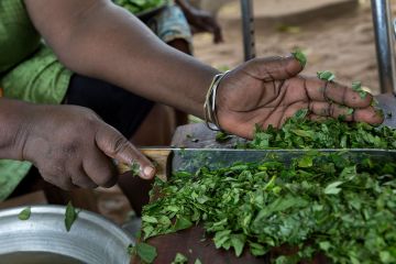 Ich bin ein Alternativtext