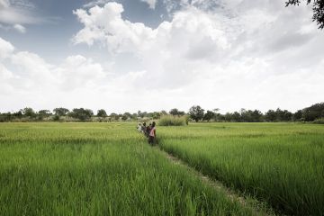 Ich bin ein Alternativtext