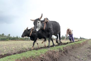 Ich bin ein Alternativtext