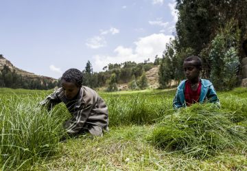 Ich bin ein Alternativtext