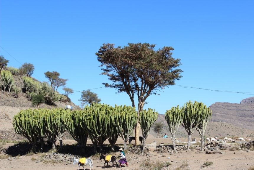 Resilience in times of crisis