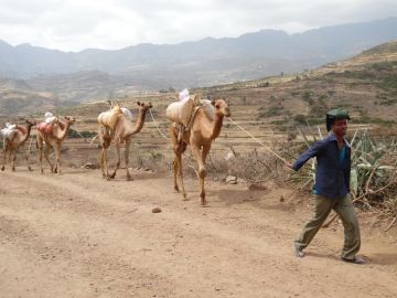 Ich bin ein Alternativtext