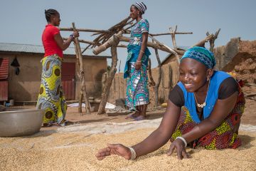 Ich bin ein Alternativtext