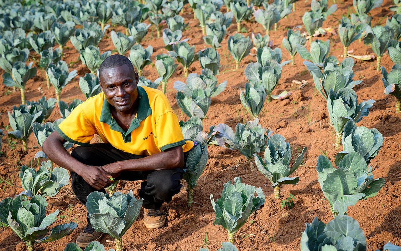 Ich bin ein Alternativtext