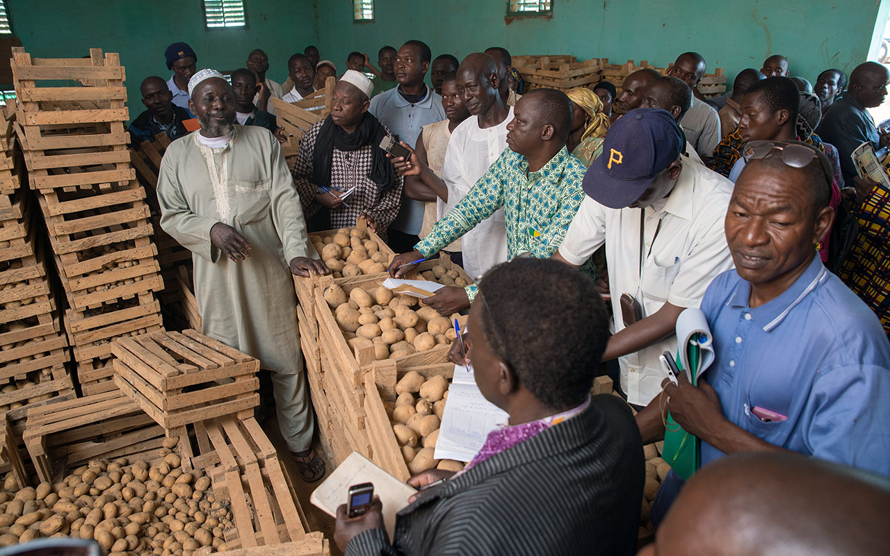 Ich bin ein Alternativtext