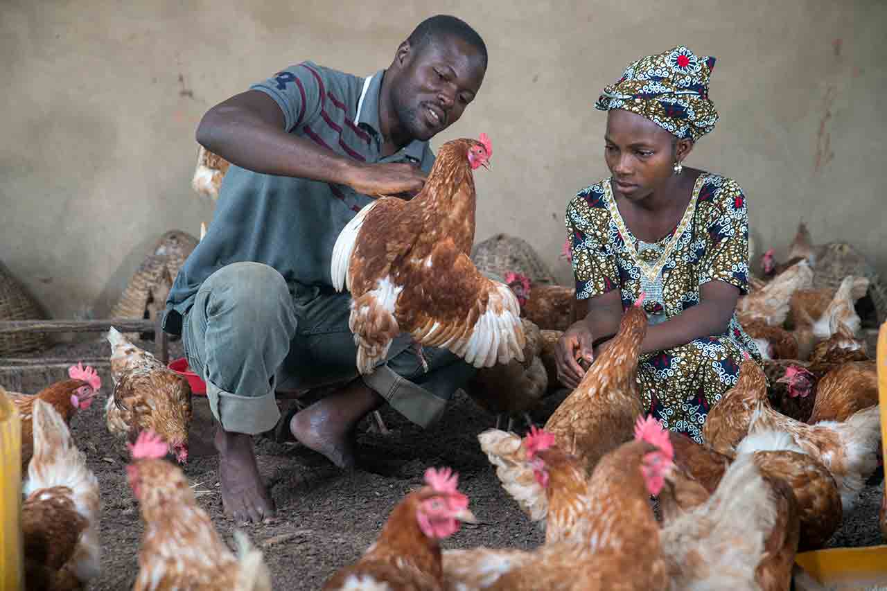 (c) grüne innovations zentren