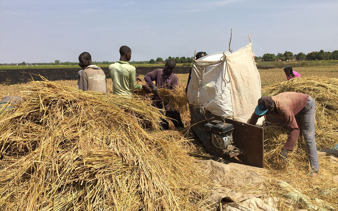 (c) Kate Holt / AusAID, Katharina Zinn/ZEF